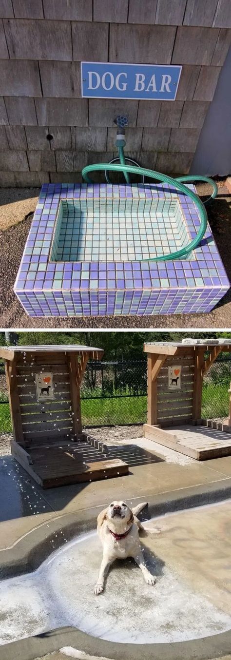 24+ Great Dog-Friendly Backyard Landscaping Ideas & Designs For 2020 Dog Pool Area, Private Dog Park Ideas, Outdoor Dog Area, Dog Boarding Ideas, Backyard Dog Area, Dogs Room, Pet Craft, Dog Friendly Backyard, Dog Space