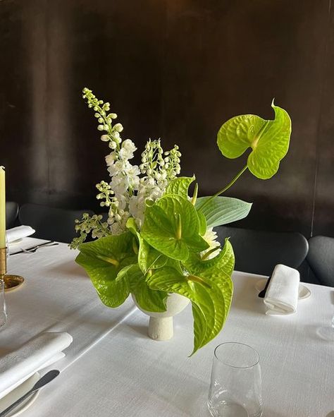 Honesty Flora on Instagram: "For Francesca & Zach back in December 🍀 #honestyflora #poweroftheflower" Plant Garden Ideas, Indoor Plant Garden, Anthurium Arrangement, Sogetsu Ikebana, Orchid Centerpieces, Wedding Reception Flowers, Plant Garden, Reception Flowers, Floral Arrangements Wedding