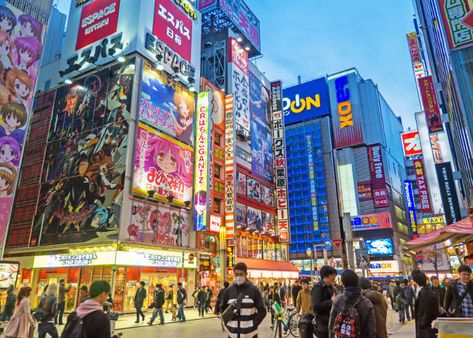 Akihabara is a town located in Tokyo's Taito Ward. A prosperous electronics haven since times past, the area has transformed itself into a sanctuary for popular Japanese subcultures, like anime, manga comics, and video games in recent years.   The latest developing hotspot many are keeping a keen eye on is the cluster of trendy cafes, shops, galleries, and other suchlike facilities that have been popping up under the elevated train tracks going from Akihabara Station to Okachimachi Station on th Hachiko Statue, Elevated Train, Akihabara Tokyo, Ghibli Museum, Tokyo Streets, Ueno Park, Yoyogi Park, Sensoji Temple, Kabukicho