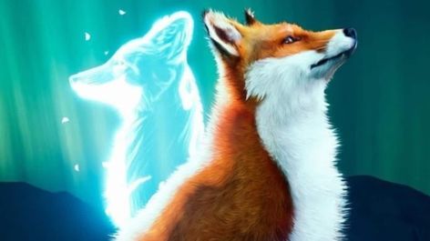 Spirit Of The North, Jumping Poses, Fox Artwork, Fox Illustration, Pet Fox, Anime Animals, Fox Art, November 1, Red Fox