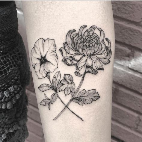 Botanical tattoo Iris And Chrysanthemum Tattoo, Chrysanthemum And Violet Tattoo, Realistic Chrysanthemum Tattoo, Small Chrysanthemum Tattoo, Chrysanthemum Tattoos, Petunia Tattoo, Watercolor Tattoo Sleeve, Birthday Tattoos, Realistic Flower Tattoo