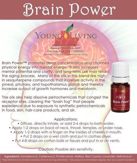 Brain Power Young Living, Eucalyptus Oil Uses, Essential Oils Focus, Plant Products, Esential Oils, Essential Oils 101, Essential Oil Companies, Young Living Essential Oils Recipes, Yl Oils