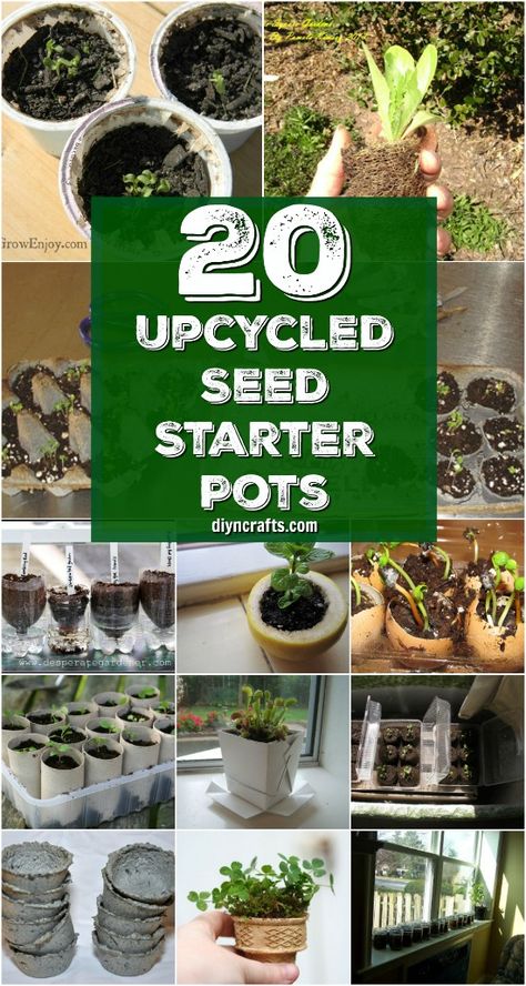 20 Upcycled Seed Starter Pots You Can Easily Make At Home {Curated and Published by DIYnCrafts.com} via @vanessacrafting Garden Diy Decoration Ideas, Seed Planter, Seed Starters, Seedling Pots, Seed Pots, Seed Starter, Starting A Garden, Gardening Hacks, Homestead Survival