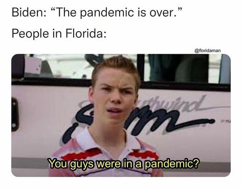 Good For You Meme, Florida Funny, Cute Piglets, Florida Man, Puns Jokes, Friend Memes, Ladies And Gentlemen, Harry Potter Funny, Love Memes