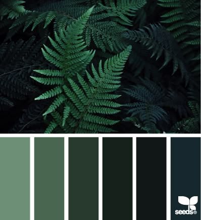 color nature | design seeds | Bloglovin Forest Green Paint Color, Green Color Schemes, Green Paint Colors, Green Colour Palette, Design Seeds, Bedroom Green, Green Paint, Colour Schemes, Nature Design