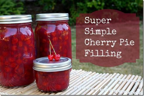 Sour Cherry Recipes, Fresh Cherry Pie, Canning Fruit, Pie Filling Recipes, Canned Food Storage, Fresh Cherry, Canning Tips, Cherry Recipes, Fresh Cherries