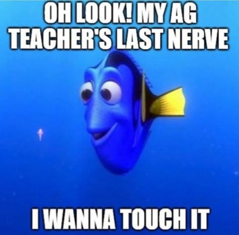 Ffa Quotes Funny, Ffa Memes Funny, Ffa Memes, Ffa Quotes, Ffa Creed, Ffa Emblem, Horse Quotes Funny, Farm Humor, Ag Teacher