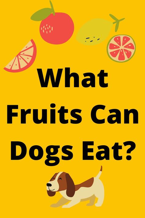 Fruit Dogs Can Eat, Pet Health Record, Dogs Eating, Fruit List, Horse Health, Can Dogs Eat, Cat Health, Dog Eating, Animal Crafts