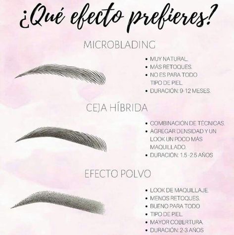 Pmu Studio Ideas, Brow Quotes, Lily Care, Eyebrow Beauty, Brow Studio, Micro Pigs, Brow Artist, Brow Lash, Eyebrow Tutorial