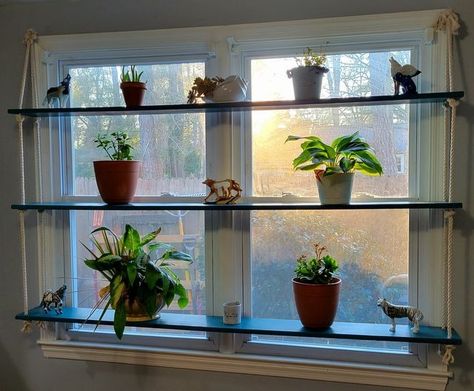 (11) Creative Gardening | Saw a similar project on here | Facebook Window Decorating Ideas, Kitchen Window Shelves, Glass Shelves Decor, Window Decorating, Glass Shelves Kitchen, Old Kitchen Cabinets, Window Designs, Window Shelves, Shelves Kitchen