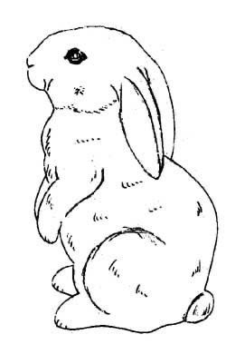 Rabbit Breeding, Bunny Sculpture, Doodle Animals, Bunny Sitting, Bunny Sketches, Rabbit Drawing, Bunny Tattoos, Rabbit Tattoos, Bunny Painting