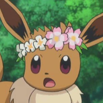 Pokemon App, Eevee Wallpaper, Pokemon Eeveelutions, Eevee Evolutions, Pokemon Eevee, Cute Pokemon Wallpaper, Team Rocket, My Pokemon, Pokemon Pictures