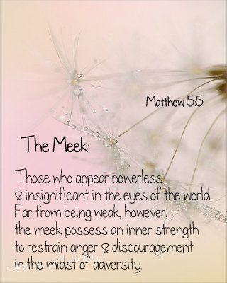 The meek: Those who appear powerless and insignificant in the eyes of the world. Far from being weak, however, the meek possess an inner strength to restrain anger and discouragement in the midst of adversity.  Blessed are the meek, for they shall inherit the earth.  Matthew 5:5 Blessed Are The Meek Quotes, The Meek Shall Inherit The Earth, Meekness Is Not Weakness, Meek Quotes, Meekness Quotes, Biblical Feminity, God's Army, Adversity Quotes, Biblical Encouragement