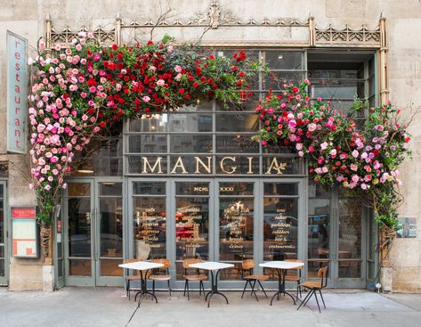 Floratorium installation of roses at Mangia NYC's 57th Street location Lunch Delivery, Lunch Catering, Food Keto, Gardens Of Babylon, Silk Florals, Spring Outdoor, Flower Installation, Flower Festival, Flower Studio