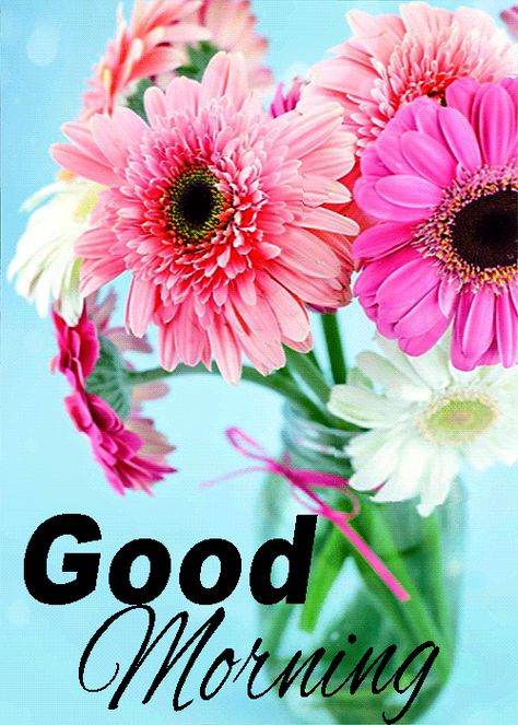 GOOD MORNING ♡♥♡ Good Morning Gif Funny, Good Morning Gifs, Good Morning Gif Images, Morning Gifs, Good Morning Wishes Gif, Good Morning Love Gif, Latest Good Morning, Good Morning Saturday, Good Morning Wallpaper