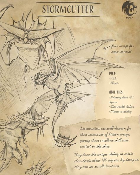 Dragon Anatomy, Httyd Art, Dragon Sketch, Httyd Dragons, Dragon Trainer, Creature Drawings, Dragon Artwork, Mythical Creatures Art, Dragon Drawing