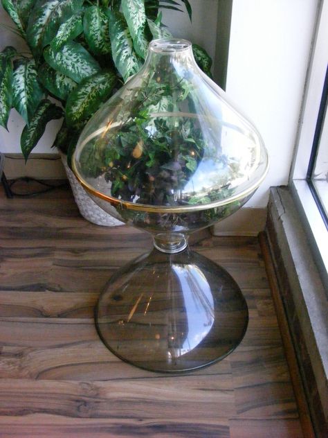 Retro Space Age Terrarium! — at Retro Kalamazoo. Retro Space, Funky Decor, Beach House Interior, Garden Tips, Space Age, Gardening Tips, Terrarium, Vintage Furniture, Beach House