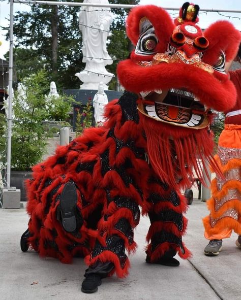 Lion Dance Costume, Lion Dragon, Chinese Lion Dance, Dancer In The Dark, Dragon Ideas, Chinese Lion, Dragon Dance, Creature Artwork, Lion Dance