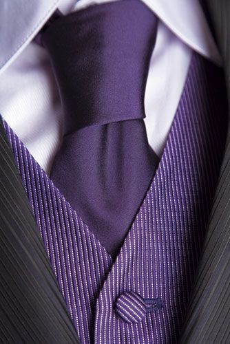 like the lines on the lapels, with the lined vest, and solid tie Groomsmen Outfit, Gold Vest, Purple Vest, Tie Vest, Purple Things, Wedding Stories, Look Formal, Gold Tie, Purple Christmas