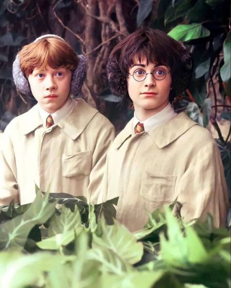 Harry And Ron, Harry Potter Ron And Hermione, Ron Hermione, Harry Potter Ron Weasley, Ronald Weasley, Harry Potter Ron, Images Harry Potter, Rupert Grint, Ron And Hermione