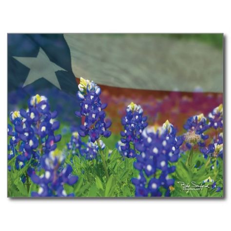 Texas Bluebonnets Art, Texas Strong, Texas Forever, Flag Painting, Texas Bluebonnets, Texas Art, Texas Flag, Texas Flags, Blue Bonnets