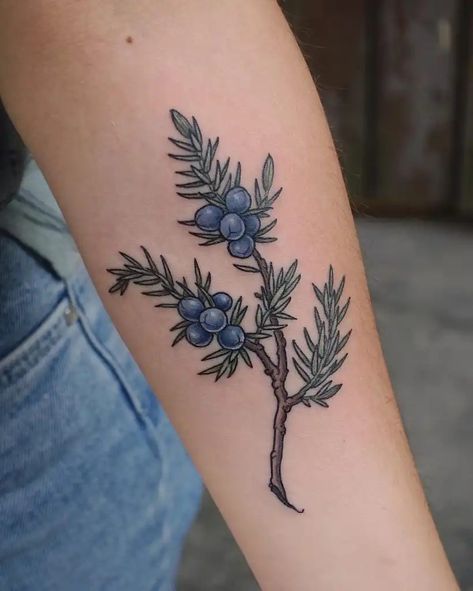 Juniper Tattoo, Juniper Branch, Tree Branch Tattoo, Mother Nature Tattoos, Branch Tattoo, Witch Tattoo, Botanical Tattoo, Tattoo Me, Body Modification