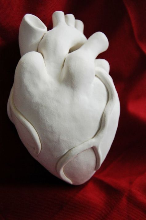 Clay Art Ideas Sculpture, Heart Crafts For Kids, Anatomical Heart Art, Heart Clay, Clay Hearts, Ceramic Halloween, Heart Vase, Clay Heart, Heart Projects