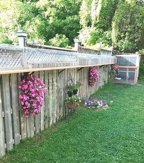 Cat Jungle Gym, Diy Cat Enclosure, Cat Habitat, Katt Diy, Cat Fence, Cat Patio, Outdoor Cat Enclosure, Cat House Diy, Cat Run