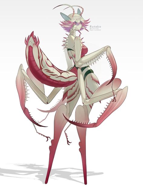 Orchid Mantis, Hollow Art, Monster Concept Art, Comic Art Girls, Anime Nerd, Fantasy Creatures Art, Anime Animals, Creature Concept Art, Mystical Creatures