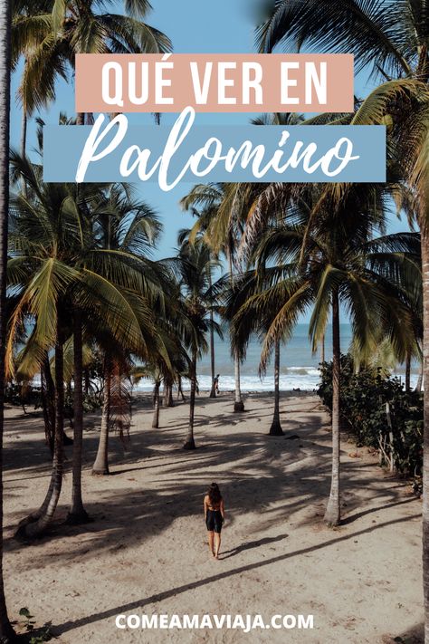 La guía definitiva para visitar Palomino, Colombia: qué ver, dónde alojarse, dónde dormir, cómo llegar... Palomino Colombia, Colombia South America, Santa Marta, Travel Lifestyle, South America, Places To Travel, Peru, Vision Board, Water