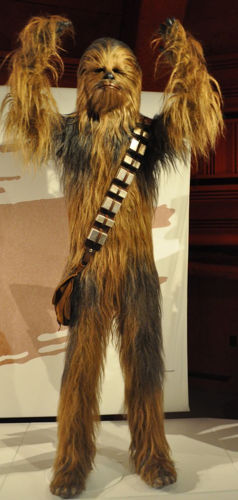 Photo of the day #196 , for March 16th, 2015. Chewbacca costume at the EMP's STAR WARS AND THE POWER OF COSTUME exhibit. Chewbacca Costume, Millennium Falcon Lego, Comic Book Tattoo, Batman Tattoo, Tiktok Ideas, Ralph Mcquarrie, Star Wars Halloween, Kids Memories, Gaming Tattoo