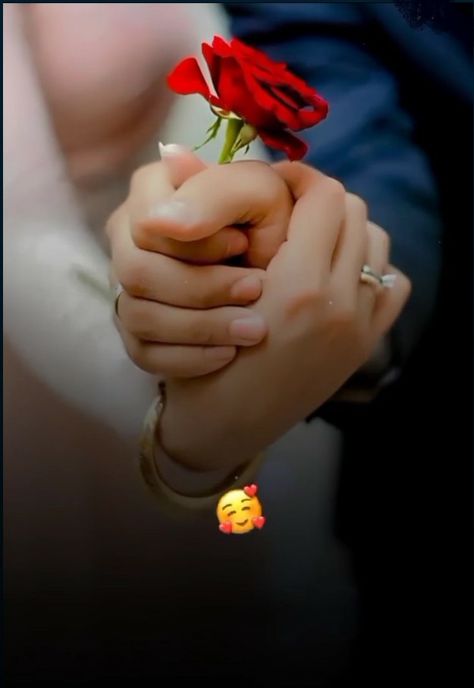 Have Nice Day, Promise Day, Dp Wallpaper, Instagram Black Theme, Rose Day, Propose Day, Teddy Day, Love Couple Wallpaper, Cartoon Love Photo