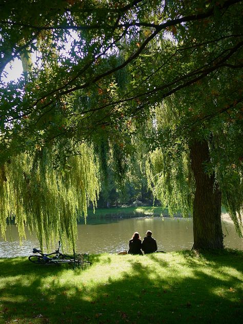 Location Wallpaper, Aesthetic Location, Being Of Light, Light Being, Catherine Paiz, We Are All Connected, Vacation Inspiration, Nature Summer, Open Minded