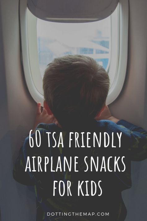 Airplane Snacks For Kids, Tsa Approved Snacks, Airplane Snacks, Airplane Food, Flying With Kids, On An Airplane, Snacks For Kids, Travel Snacks, Plane Travel