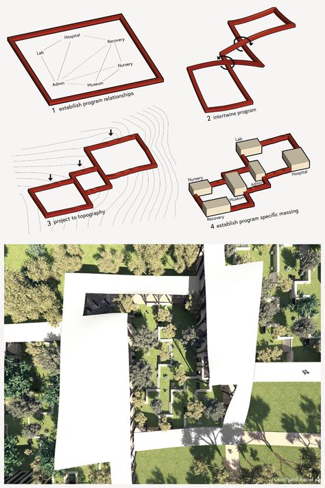 The Continuous Canopy | Concept Architecture Project Continuity Architecture Concept, Continuous Architecture, Canopy Design Architecture, Architecture Competition, Thats All Folks, Architecture Concept, Canopy Design, Animal Habitats, Mountain Top