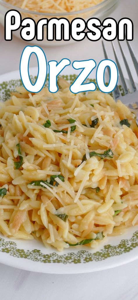 This easy Parmesan Orzo is a great and affordable side or meatless main dish. Full of flavor from chicken broth, butter, fresh basil and garlic. Orzo Recipes With Chicken, Orzo Recipes Side, Orzo Pasta Recipes, Parmesan Orzo, Fresh Herb Recipes, Best Lunch Recipes, Pasta Side Dishes, Orzo Recipes, Pasta Sides