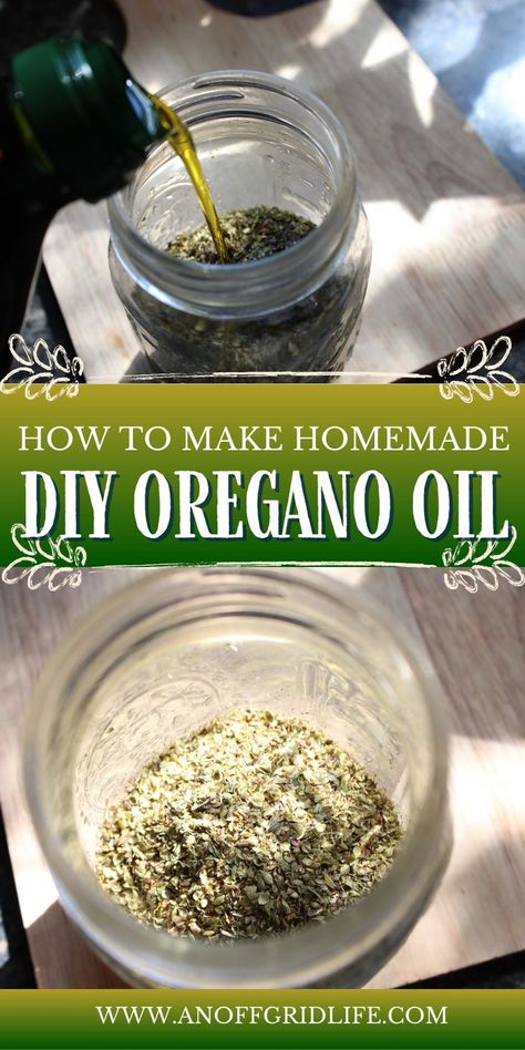 How to make homemade oregano oil Diy Oregano Oil, Make Oregano Oil, Oregano Recipes, Oregano Oil Benefits, Herbal Remedies Recipes, Oregano Essential Oil, Oregano Oil, Herbal Recipes, Simple Lifestyle