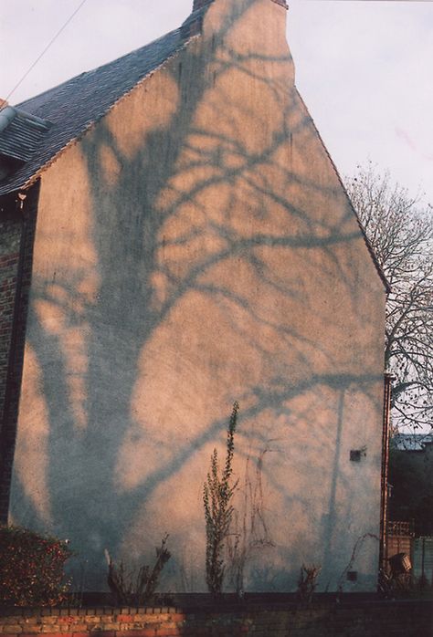 Les ombres sur les façades Ombres Portées, Dappled Light, Photography Light, Shadow Play, Light Shadow, Chiaroscuro, The Shadow, Photography Inspo, 그림 그리기