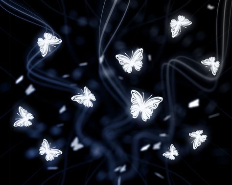 Night Video, Desktop Backgrounds, Depth Of Field, Cinema 4d, At Night, Butterflies, 404 Not Found, Not Found, Wallpapers