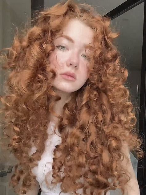 Brave Disney Aesthetic, Curly Ginger Hair, Brave Disney, Red Hair Girl, Redhead Woman, Merida Brave, Beautiful Curly Hair, Hairdos For Curly Hair, Curly Hair Women