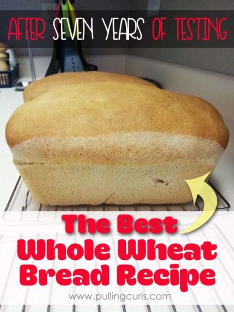 Fluffy Whole Wheat Bread, Whole Wheat Bread Machine, Bread Machine Wheat Bread Recipe, Best Whole Wheat Bread, Make Your Own Bread, Homemade Whole Wheat Bread, Whole Wheat Bread Recipe, Homemade White Bread, Wheat Bread Recipe