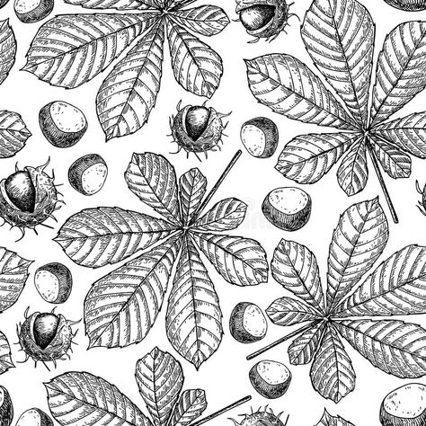 Leaves Line Drawing, Chestnut Leaf, Autumn Vector, Seasonal Decor Fall, Botanical Elements, Chestnut Trees, Chalkboard Designs, Leaves Illustration, Leaf Drawing