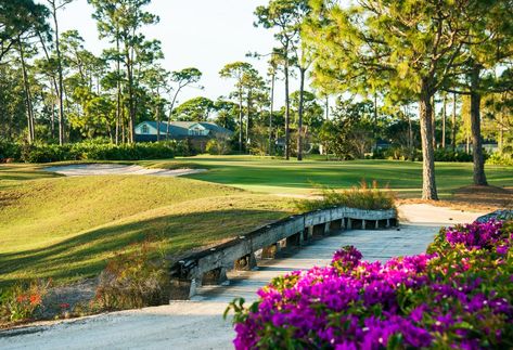 Vero Beach Offers Wide Variety of Private, Public Golf Course in a Tranquil Intracoastal Setting - Golf Vacations Magazine Golf Trips, Pine Valley, Golf Vacations, Public Golf Courses, Treasure Coast, Golf Trip, Indian River, New Normal, Old Florida