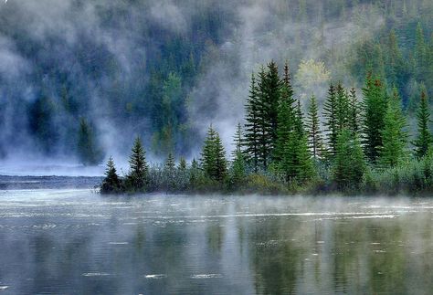 Mist - Banff National Park by Shuchun Du on 500px. This is stunning, simply a great photo! Landscape Photography Horizontal, Forest Landscape Photography, Photography Horizontal, Enchanted Wood, Scenery Pictures, Misty Forest, Watercolor Mountains, Landscape Features, The Fog