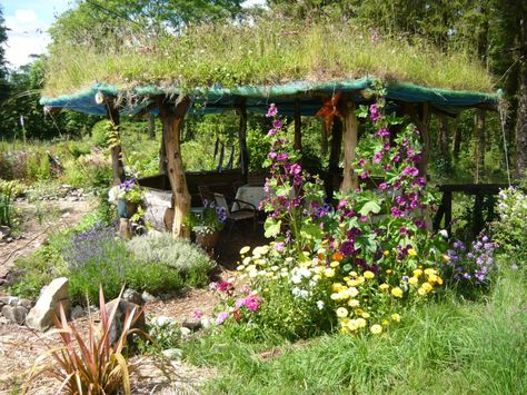 We live in the West of Ireland. It rains a lot here and we wanted somewhere to sit under cover in the garden. After we built our Gazebo, we discovered it was also a lovely place to sit in the shade… Garden Shelter Ideas Diy Cheap, Garden Rain Shelter, Garden Shelter Ideas Diy, Diy Garden Shelter, Magical Landscaping, Pasture Shelter, West Ireland, Small Structures, Garden Shelter