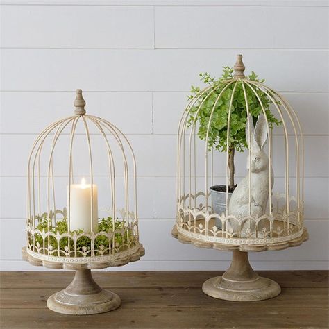 Antique bird cages