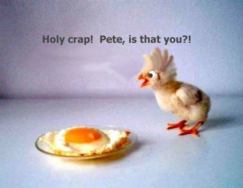 Holy crap! Pete, is that you? Funny Easter Jokes, Easter Jokes, Easter Quotes, Easter Humor, Friday Humor, Bones Funny, The Words, I Laughed, Funny Animals