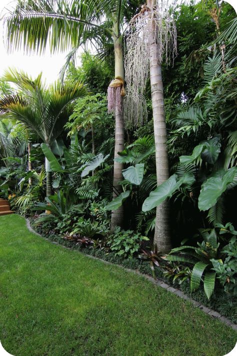 Tropical Backyard Landscaping, Small Tropical Gardens, Bali Garden, Balinese Garden, Tropical Landscape Design, Tropical Garden Design, Jungle Gardens, Tropical Backyard, Australian Garden