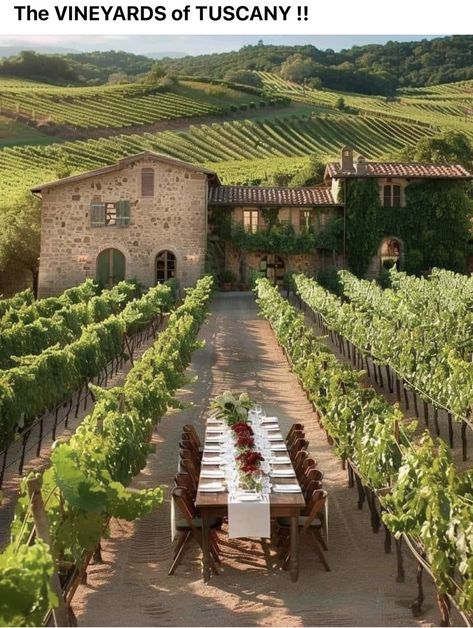 Tuscany Wineries, Tuscany Aesthetic, Vineyard House, Tuscany Landscape, Toscana Italia, Tuscan Villa, Italian Home, French Countryside, Beautiful Places In The World