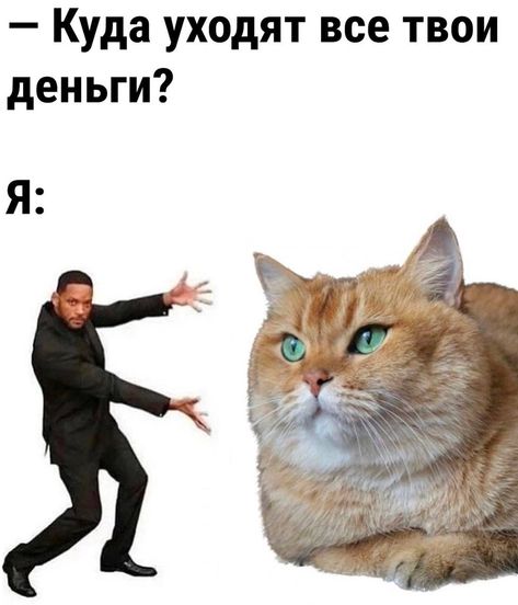 Russian Learning, Russian Cat, Russian Jokes, Funny Aesthetic, How To Speak Russian, Russian Humor, Russian Memes, Learn Russian, Funny Tumblr Posts